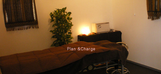 �G�X�e�v��������